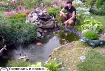 РИБКИ В ОКЕАНІ... КВІТІВ