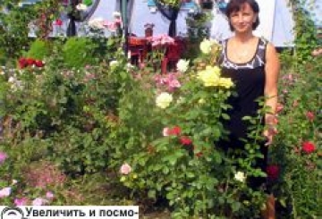 КВІТУЧІ МАРОНИ