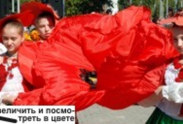 ЙШЛИ МІСТОМ МАКІВКИ ТА БАРВІНКИ…