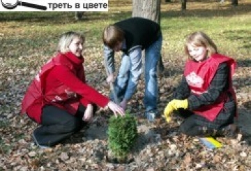 ЗАВДЯКИ СТРАХУВАННЮ ЛЮДСТВО ВИЖИЛО. А ОТ ЧИ «ВИЖИВУТЬ» ТУЇ?