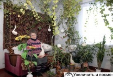 ДИВО-ПЛЮЩ РЯТУЄ ВІД САМОТНОСТІ