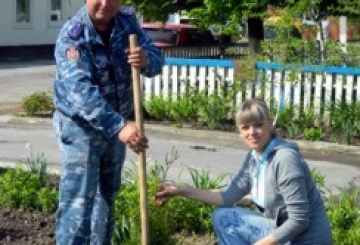 ВОНИ САДЖАЮТЬ НЕ ЛИШЕ ЗЛОЧИНЦІВ, А Й ДЕРЕВА