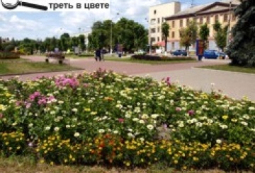 У НОВОГРАДІ-ВОЛИНСЬКОМУ ПІДХОДИТЬ ДО ЗАВЕРШЕННЯ КОНКУРС «МОЄ КВІТУЧЕ МІСТО»