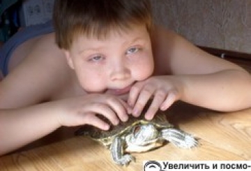 Фотоконкурс: Мій домашній улюбленець