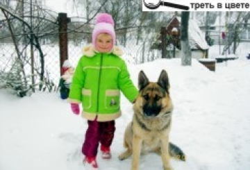 Фотоконкурс: Мій домашній улюбленець
