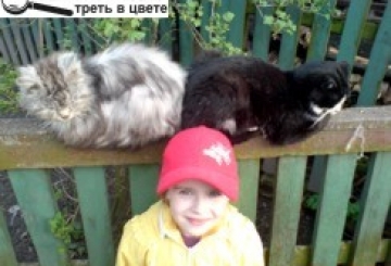 Фотоконкурс: Мій домашній улюбленець