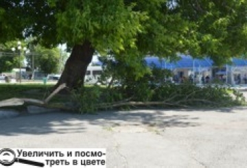 Буревій знеструмив район