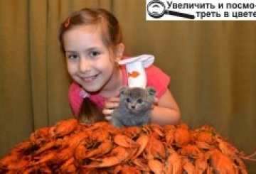 Фотоконкурс: Мій домашній улюбленець