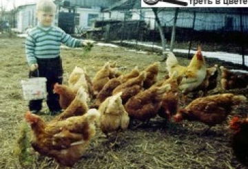 Фотоконкурс: Мій домашній улюбленець