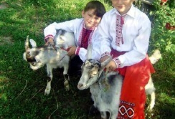 Фотоконкурс: Мій домашній улюбленець