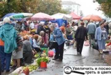 Бабине літо щедро обдаровує теплом, врожаєм та гарним настроєм