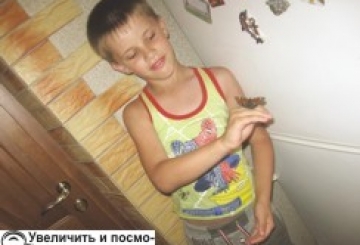 Фотоконкурс: Мій домашній улюбленець