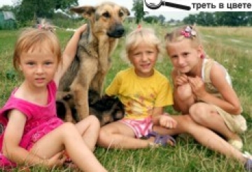 Фотоконкурс: Мій домашній улюбленець