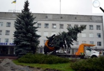 Прийшов сховатись заїнька — ялиноньки нема