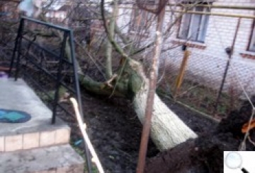 Буревій був милостивим