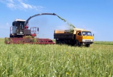 Заготівля грубих кормів