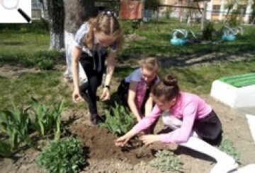 Алея троянд у пам’ять про загиблих бійців