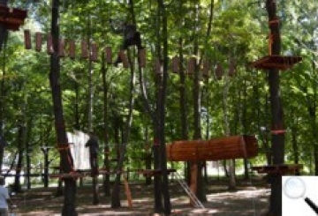 Захотіли «потарзанити»? Гайда у мотузковий парк! або Як у Новограді створюють свою країну розваг