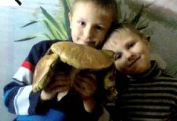 Фотоконкурс: «Приколи саду та городу»