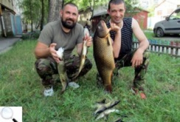 У Случі новоград-волинці зловили на спінінг коропа вагою 7,3 кг