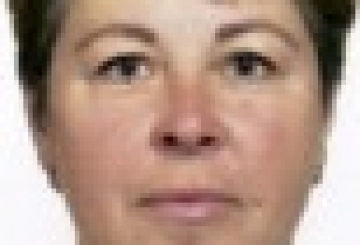 Вітання 26/2019