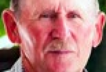 Вітання 29/2019