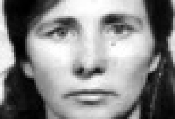 Вітання 28/2020