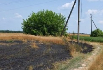 Унаслідок пожежі на полі ТОВ «Цефей-Еко» зазнало збитків на понад мільйон гривень