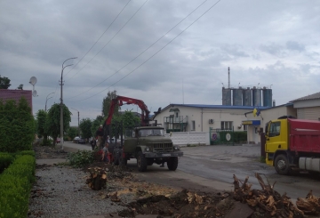 Озеленення вулиці Героїв Майдану не відповідає ДБН: бути чи не бути деревам?