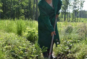 Без догляду  ліс не виросте