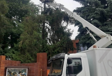 Затверджено акти на зрізання 36 дерев: містяни обурюються, комунальники пояснюють — ріжуть хворі дерева