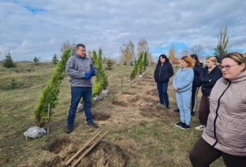 Туї — символ вічного життя У пам’ять про захисників родини  висаджують красивий парк
