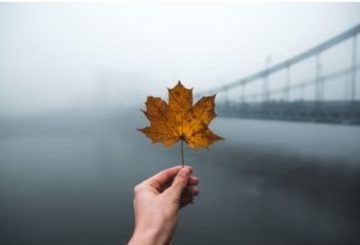 12 жовтня: цей день в історії, яке сьогодні народне свято та основні події