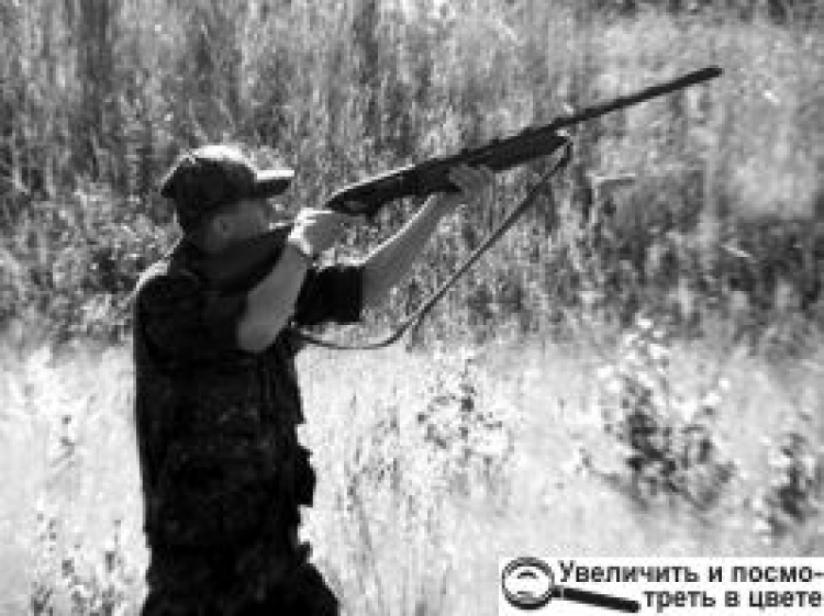 ОТЕ «ДАЙ!» НЕ ВСІМ ДАВАЛОСЯ! АБО КОМУ ПОЛИН ГІРКИЙ, А КОМУ  ЧЕБРЕЦЬ СОЛОДКИЙ!..