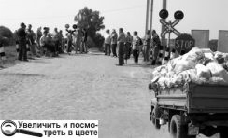ПІКЕТ ...НА СМІТНИКУ
