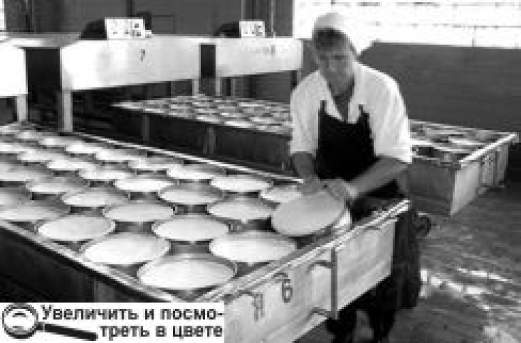 СИРКОМБІНАТ І ПАПЕРОВА ФАБРИКА — ПЕРШІ «ЖЕРТВИ» КРИЗИ