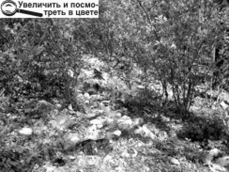 «НЕ СМІТИ, БУДЬ ЛЮДИНОЮ!»