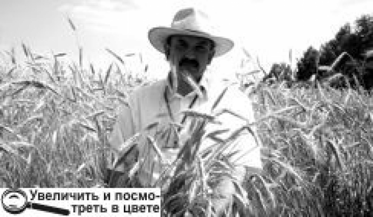 ОРГАНІЧНЕ ЗЕМЛЕРОБСТВО: НОВОГРАД-ВОЛИНЩИНА СЕРЕД ЛІДЕРІВ