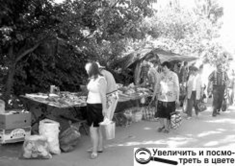 ВЛАДА ЗАБОРОНИЛА, АЛЕ ТОРГУЮТЬ ВСІ!