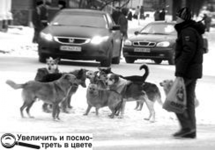 ПРИХОВАНА ЗАГРОЗА