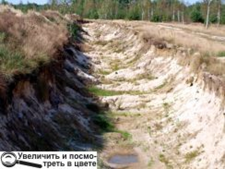 БІЛЯ ЧИЖІВКИ КРАДУТЬ КОРИСНІ КОПАЛИНИ?