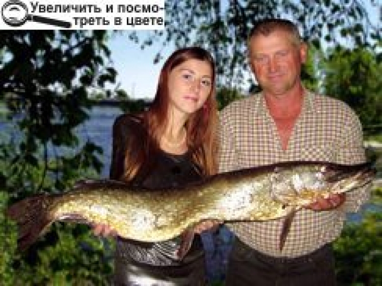 КОНКУРС «ЗВЯГЕЛЬСЬКІ РЕКОРДИ»