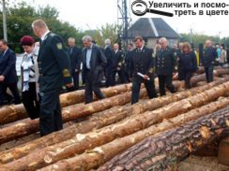 НА БАЗІ НОВОГРАД-ВОЛИНСЬКОГО ЛІСГОСПУ ВІДБУЛОСЯ РОЗШИРЕНЕ ВИЇЗНЕ ЗАСІДАННЯ КОЛЕГІЇ ДЕРЖКОМЛІСГОСПУ