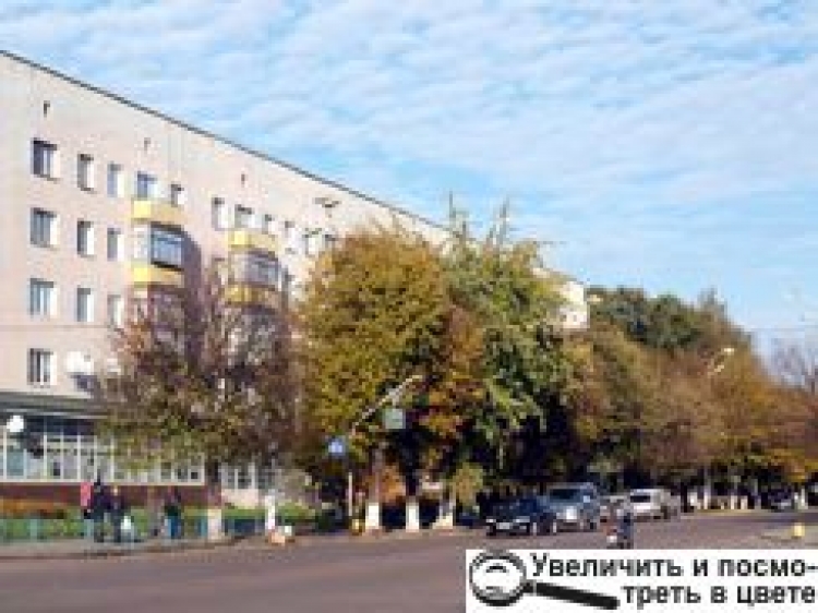 ПЕРШІ КРОКИ НОВОЇ КОМАНДИ