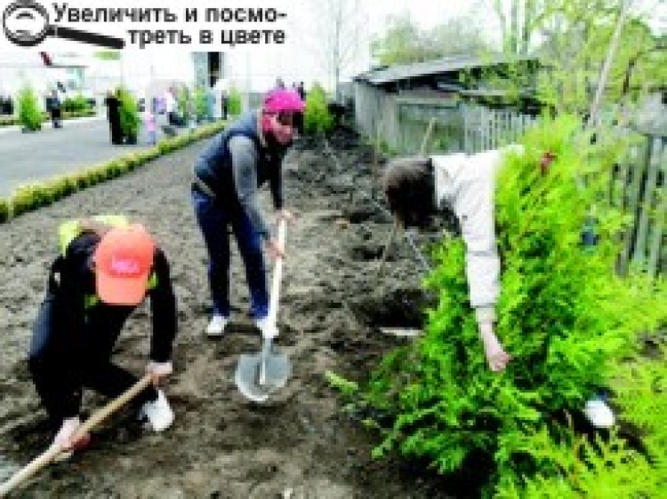 АКЦІЯ «РОДИННЕ ДЕРЕВО»