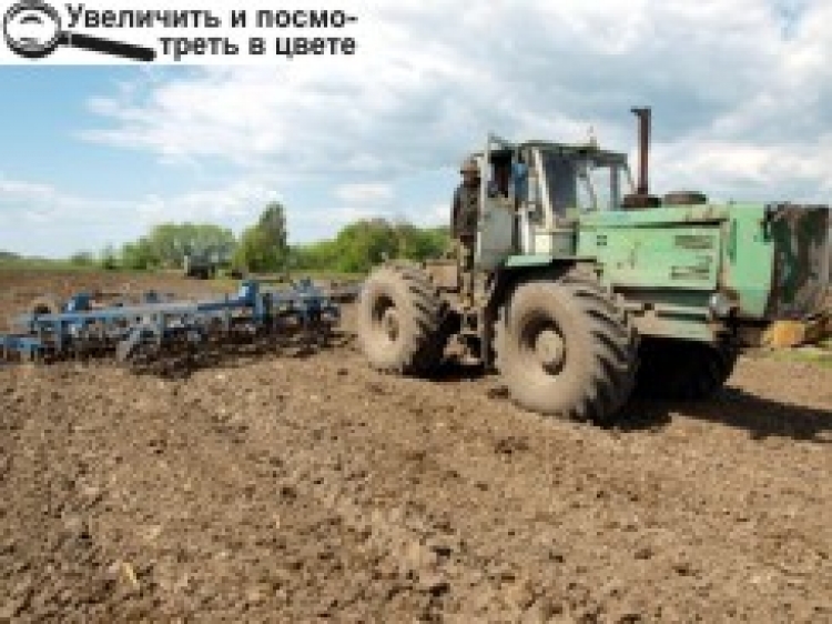 НА ФЕРМАХ НЕ ВИСТАЧАЄ РОБОЧОЇ СИЛИ