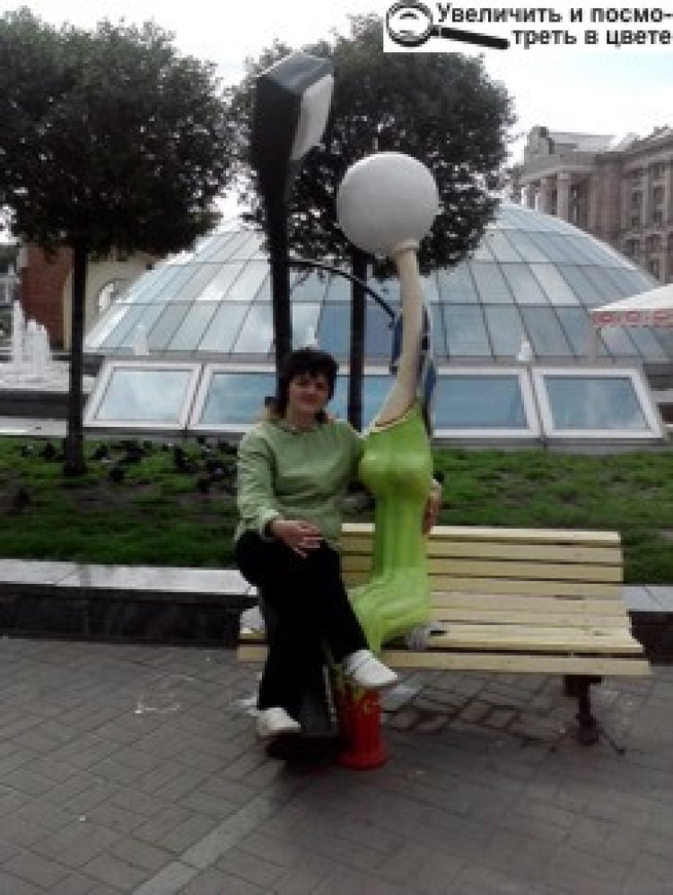 «Я ПАМ’ЯТНИК СОБІ...»