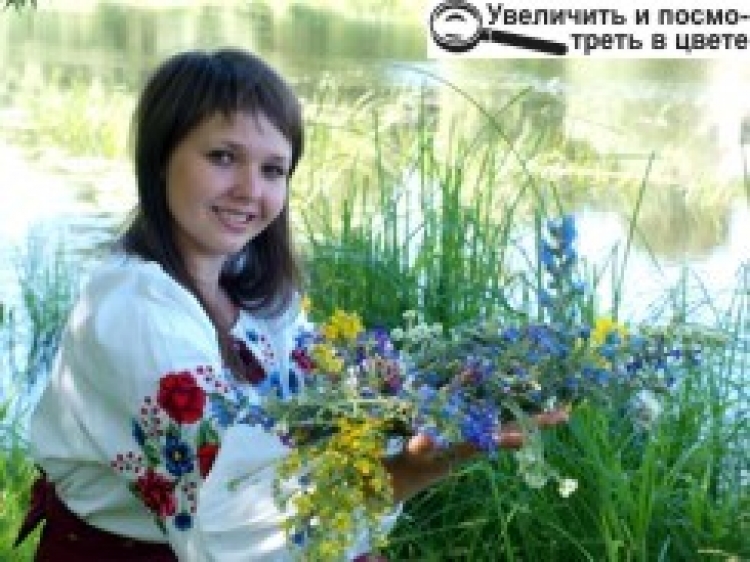 ОЙ НА ІВАНА, ТА Й НА КУПАЛА