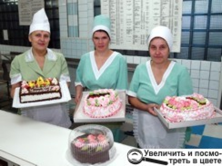 «БЕЗ СОЛІ, БЕЗ ХЛІБА НЕМАЄ ОБІДА»