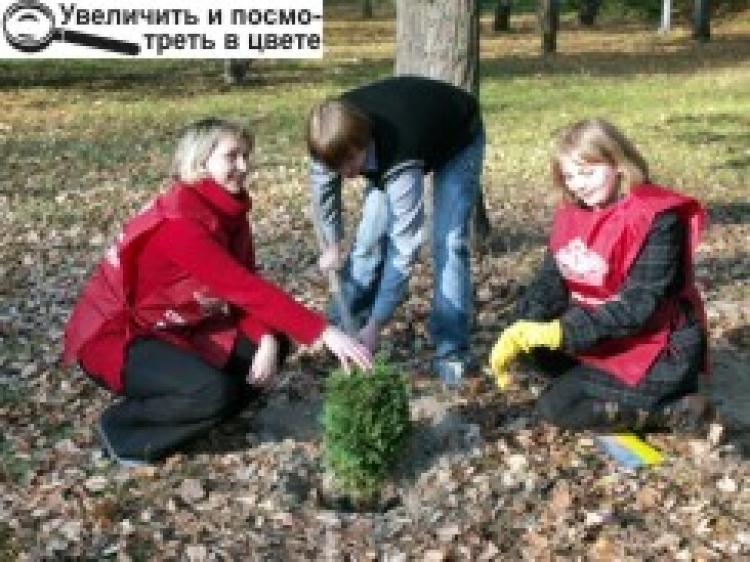 ЗАВДЯКИ СТРАХУВАННЮ ЛЮДСТВО ВИЖИЛО. А ОТ ЧИ «ВИЖИВУТЬ» ТУЇ?